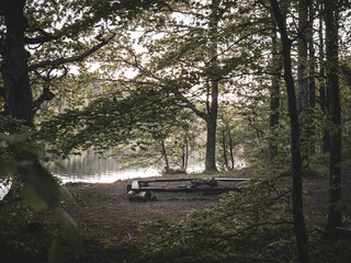 benches around the fire log in the forest with lake view