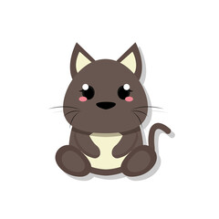 Isolated cute kitten