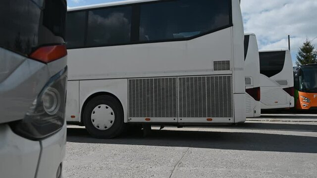 Public Transportation Intercity Bus Coaches Parked in the Base. 