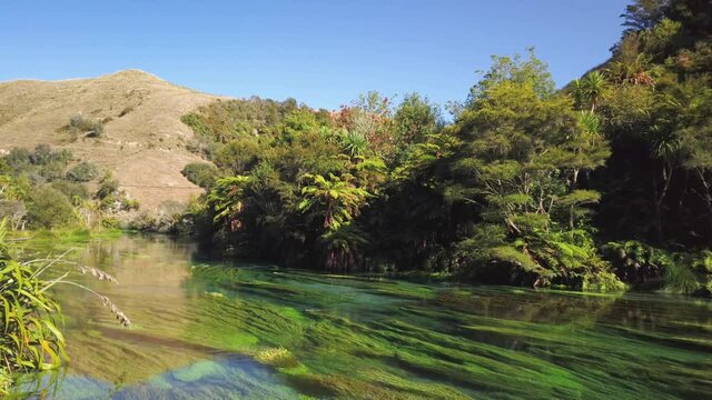 4k right to left panning motion of the crystal clear fast flowing water of the Blue Spring which is a nature fresh water spring and hiking trail of the Te Waihou walkway ,north Island,New Zealand 