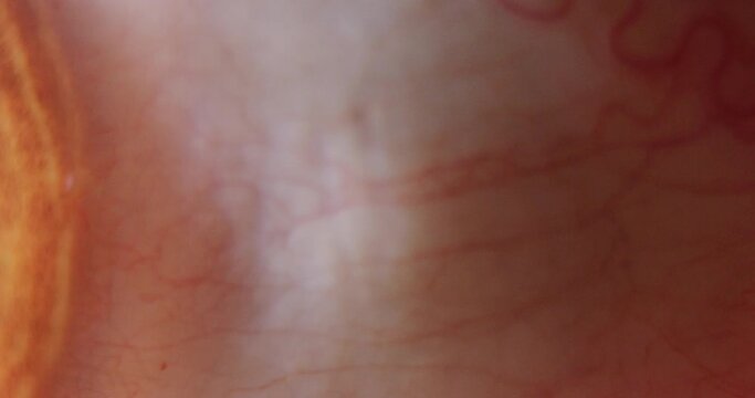 4k macro slow motion shot of a eye ball looking sideways revealing the veins.