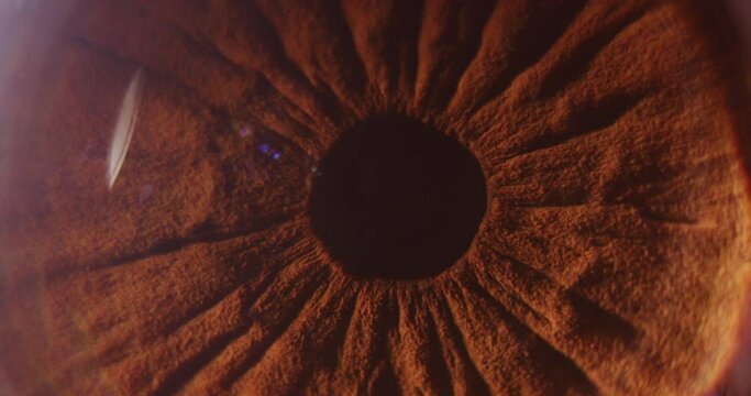 4k macro slow motion shot of a eye ball looking sideways revealing the veins.