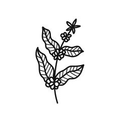 coffee tree doodle icon, vector illustration