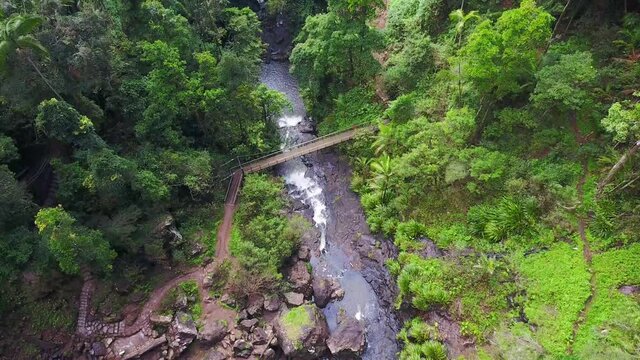 Aerial Drone Of Walking Path Bridge Over Rocky Stream In Lush Green National Park At Purlingbrook Water Falls In Australia