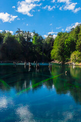 Paisajes naturaleza Parque nacional Conguillio bosque nativo de araucarias regi&oacute;n de la araucan&iacute;a Laguna Captren 
