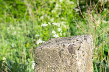 Fototapeta na wymiar Standing old gray concrete pillar with planar surface on the top as a stage for something and blurred green grass background behind.