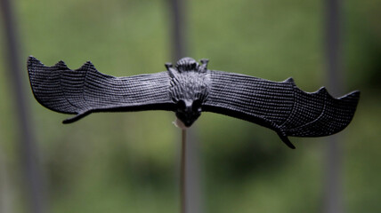salvador, bahia / brazil - may 28, 2020: toy replica of bat animal.