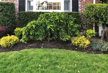 Naklejka premium landscape design in front of old brick house