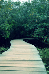 Wooden pathway into a forest. Wetland park in Sri Lanka