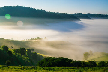 Mist on the grassland early in the morning