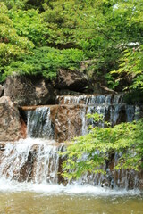 新緑の須磨離宮公園の滝【5月】