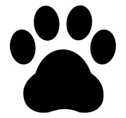 cat paw print