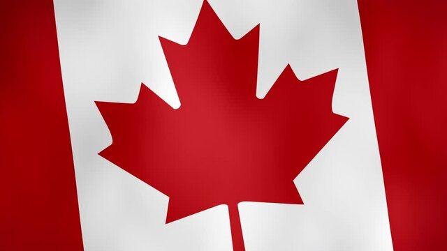 The national flag of Canada waving animation - 4k