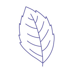 leaf foliage nature botanical isolated icon design