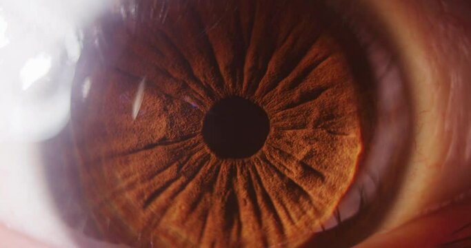 4k macro slow motion shot of a eye ball looking sideways revealing the veins.