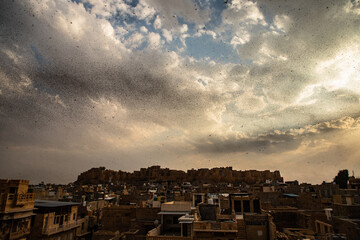 A attack by desert hopper (locusts attack) in jaisalmer city, Rajasthan