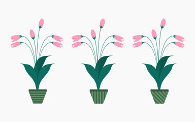 Beauty flower planters in green pot