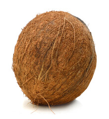 coconut isolated on white