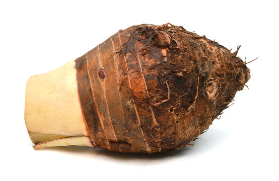 Eddoes vegetable thought to have been developed