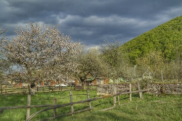 Fototapeta na wymiar rural landscape with a fence