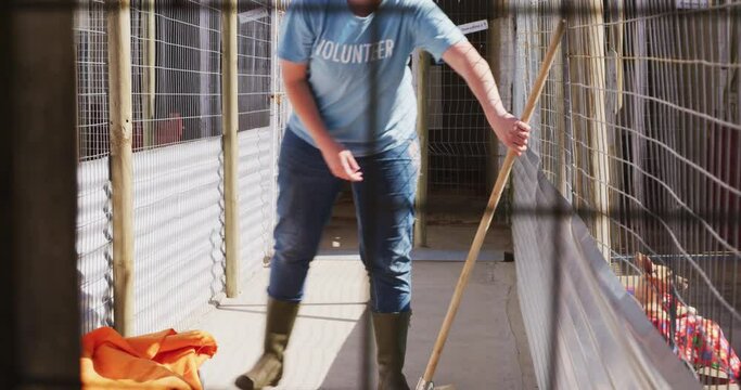 Caucasian Volunteer Woman In A Dog Shelter