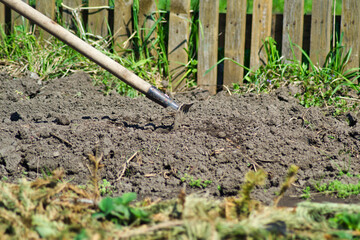 Rake work in the garden
