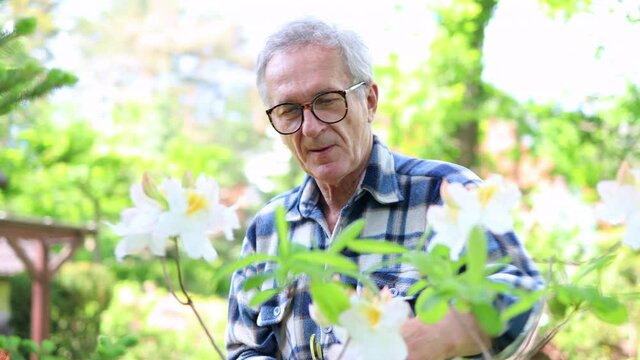 Mature man working in the garden
