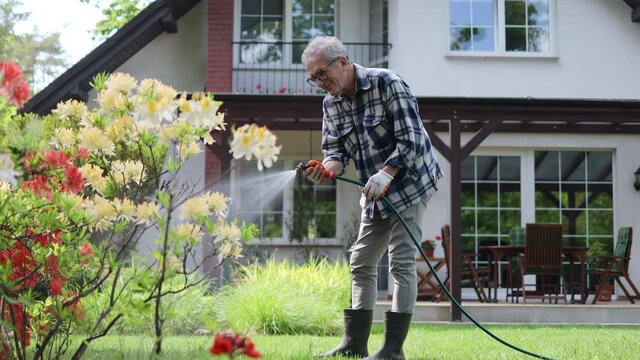 Mature man working in the garden
