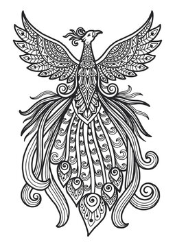 mandala for coloring page peacock design. t-shirt print