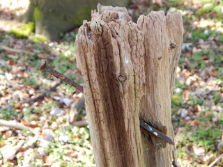 old wooden fence