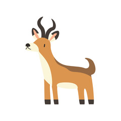 cute gazelle animal vector