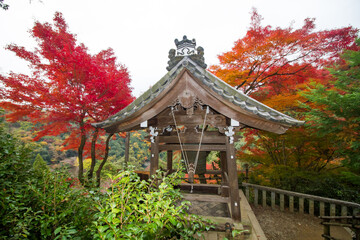 Autumn bell shelter