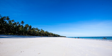 Tropical white sand beach with green palm trees and a bright blue sky