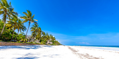 Tropical holiday bounty island with bright white sand, a crystal clear blue ocean, green waving palm trees with big leaves and a blue sky
