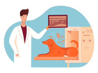 X-Ray, KT or MRI dog examination at vet clinic