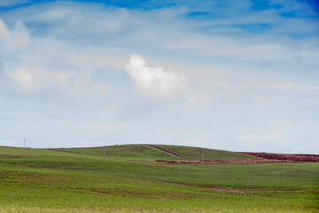 green field with blue sky on the tropical island of Mauritius