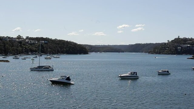Yachts & sailboats moored in quiet bay, sunny day