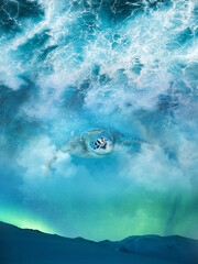 Sea Turtle Swimming in the Ocean Sky above the Northern Lights in the Arctic Surreal Digital Art