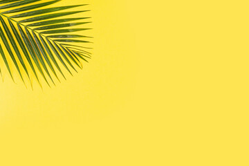 Summer composition with Tropical palm leaves on yellow background. Flat lay, top view, overhead, mockup, template, copy space