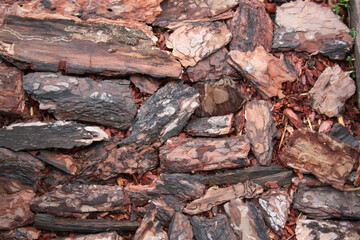 Wet coniferous bark for mulching the soil. Background from larch bark.