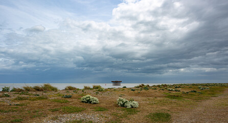 Looking out to sea at Sizewell Suffolk