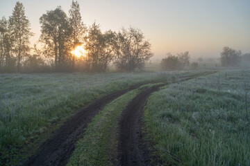 Fototapeta premium Early spring. Morning dawn over the lake in a misty, thoughtful haze. Beautiful view of the forest covered with fog early in the morning. The sun's rays of light. May.