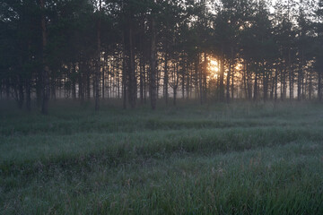 Early spring. Morning dawn over the lake in a misty, thoughtful haze. Beautiful view of the forest covered with fog early in the morning. The sun's rays of light. May.