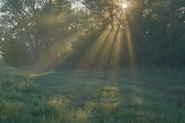 Early spring. Morning dawn over the lake in a misty, thoughtful haze. Beautiful view of the forest covered with fog early in the morning. The sun's rays of light. May.