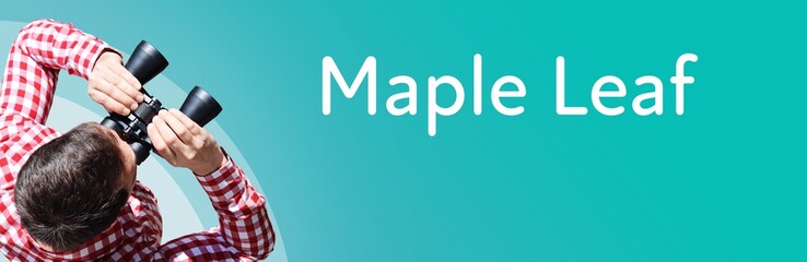 Fototapeta premium Maple Leaf. Businessman (man) looks through binoculars. Birds eye view. Focus on text. Blue Background. Business, Finance, Statistics, Analysis, Economy