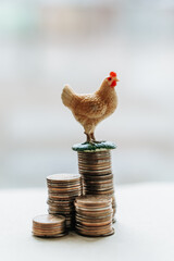 chicken and coins