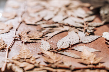 Fototapeta na wymiar in the foreground on a wooden Board are dried leaves, the background is blurred