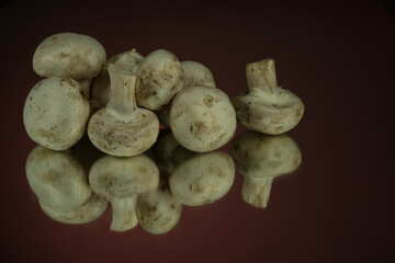 Mushrooms champignons on a black mirror surface isolated on red background.