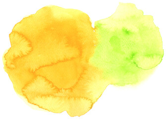 Watercolor of yellow and green colors painted each other on white rough paper with resulting in mixed color surfaces, Two colors of watercolor isolated on white background.