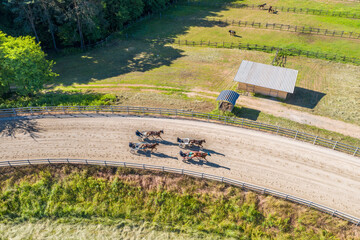 Horses running with the sulky and rider